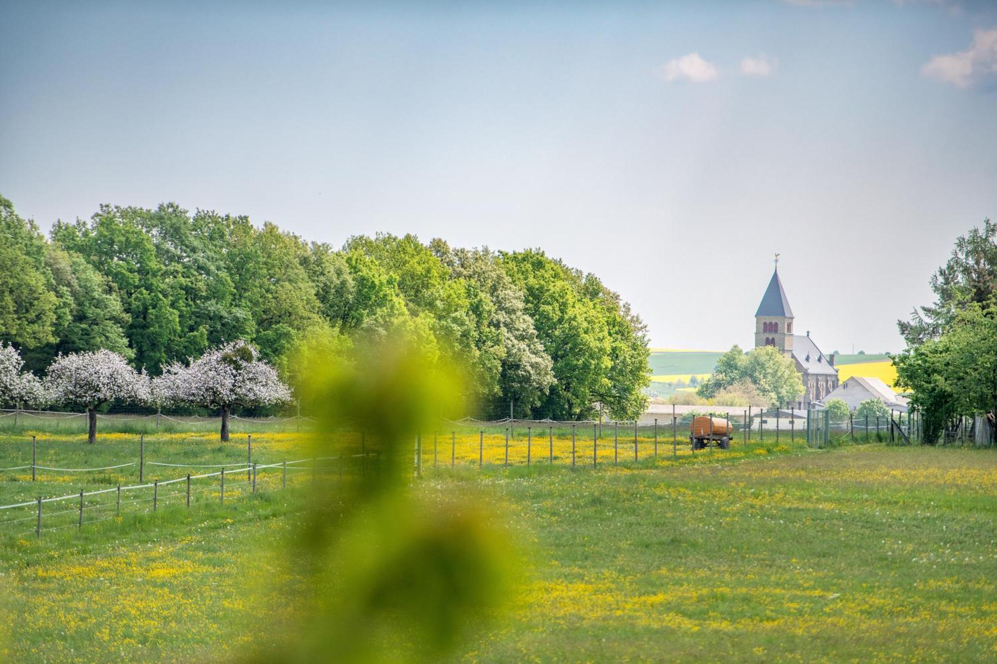 Waldesblick, Hotel-Restaurant Lahr  Екстер'єр фото