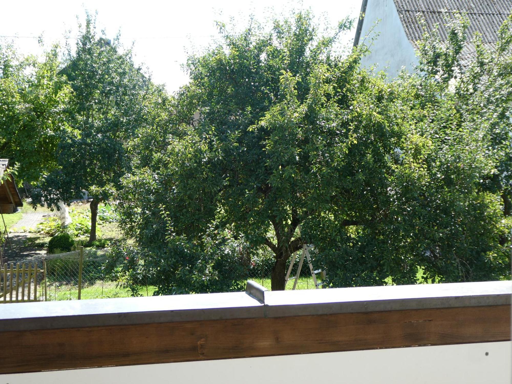 Waldesblick, Hotel-Restaurant Lahr  Екстер'єр фото